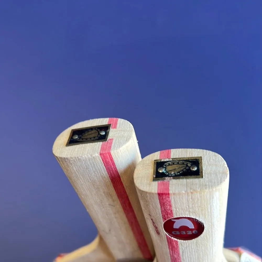 729 Giant bear G320 bat double pips in