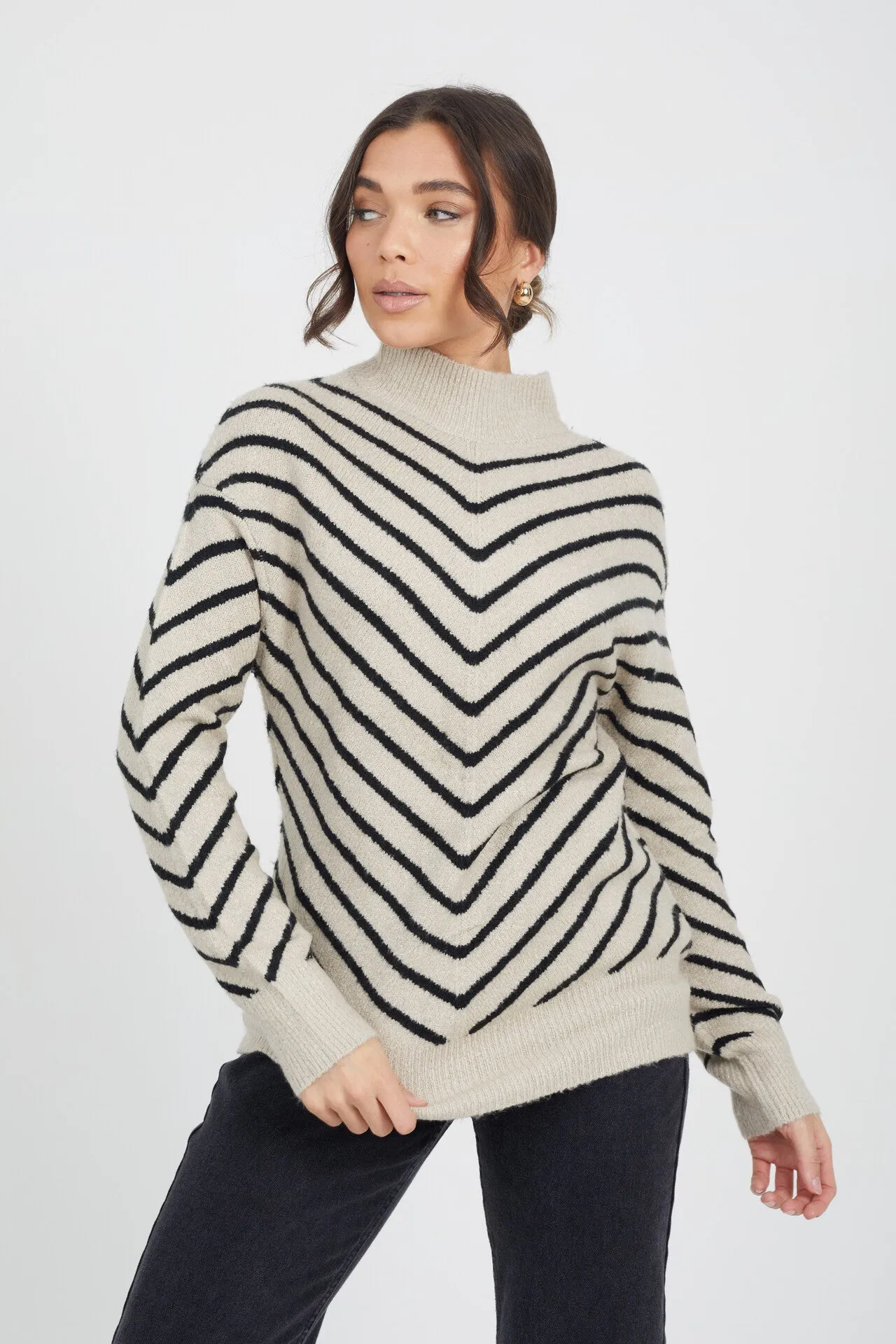 TURTLE NECK CHEVRON KNIT JUMPER